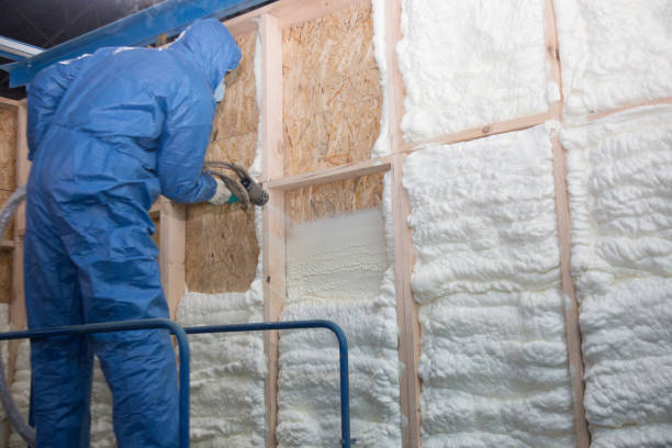 Best Insulation for New Construction  in Owens Cross Roads, AL